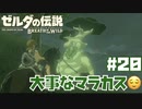 #20 ゼルダの伝説 ブレス オブ ザ ワイルド【大事なマラカス】