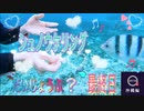 ●MTM Trip●【沖縄編】【第３章　最終日は、盛り沢山！！】