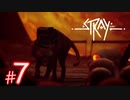 【下水道】猫になれる！？サイバーパンクな世界を探索できるADVゲーム『Stray』#7