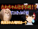 【雑談】引っ越し先でたわちゃんが行方不明になり驚く場所で発見される【大神ミオ/ホロライブ/切り抜き】