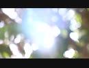 純正律◼️暖かな気持ちになるBGM □純正律のミニマルなハープ音楽 『Naori』□