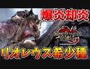 【蒼炎】リオレウス希少種の却炎ブレスが爆炎過ぎるｗｗ【サンブレイク】