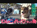 コーギーとモンキー１２５に乗って、神奈川県 川崎大社を訪れる。今年の夏も暑い、夏の風物詩としては、ほおずき市にほおずきを買いに行った。今回は、涼しさを感じる夏の風物詩、風鈴を買いに行く。
