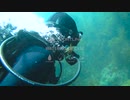 SPORTLINK Waterproof iPhone Case