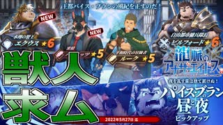 【ガチャ】今回こそピックアップの恩恵が欲しいしガチムチ獣人が欲しいし【龍脈のアナザーエイドスR】