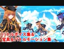 【FGO】戦乙女ゲイルスケグル（イルス） 宝具(ボイス1種)＆バトルボイス集＆バトルモーション集【Fate/Grand Order】