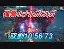 【MHR:SB】傀異化ナルガクルガ双剣10分56秒
