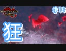 寄生されたルナガロンと現れたラスボス【モンスターハンターRiseSunbreak  ♯16】
