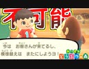【実況】僕のレイアウトテクニックを見せられませんでした【あつまれ どうぶつの森】