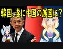 中国「韓国政府が三不一限を正式に宣誓した」【世界の〇〇にゅーす】