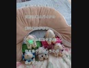 個人的に検証してみたい心霊観光地　旧善知鳥トンネル（旧久栗坂トンネル）