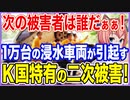 次の被害者は誰だぁぁ！わずか3日で発生した10000台の浸水車両が引き起こす！今秋から始まるK国特有の二次被害とは！？【2022/08/12】