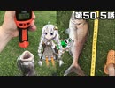 あかりちゃんと行くカヤックフィッシング第50.5話