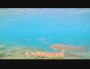 【渓流釣り】初めての管理釣り場は甘くなかった【山梨】