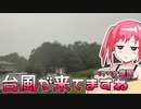 2022年8月12日　農作業日誌P354　絶滅のクアッガとラッキョウばらし　VOICEVOX　MYCOEIROINK