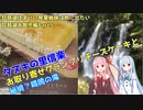 【VOICEROID車載】 信楽・お取り寄せグランプリチーズケーキと鶏鳴の滝　琵琶湖住まいの琴葉姉妹は旅に出たい～琵琶湖お散歩編Part05～　