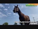 【話題沸騰】Yogiboと”契約”したアドマイヤジャパンがHBC競馬部に登場！タニノギムレット、ヒルノダムール、エタリオウも！