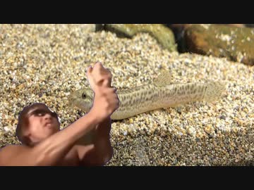 AIを使って拓也さんとドジョウの子供を作る