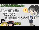 なろう小説No.081「めでたく婚約破棄が成立したので、自由気ままに生きようと思います」ＷＥＢ版　ゆっくり解説　ラノベ、なろう小説