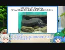 にともみのSCP談話その16