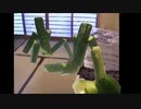 迫真お盆休み部　精霊馬の裏技