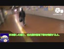 【第1回鉄道旅ゆっくり実況】名古屋市営地下鉄を完乗する(Part.1)