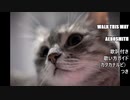 【英語の歌うたえたら】Walk This Way/Aerosmith【カッコよくねぇ？】