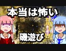 第584位：【VOICEROID劇場】本当は怖い磯遊び【琴葉姉妹の磯遊び】