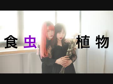 【アイリス × ルル】食虫植物 踊ってみた【初コラボ】