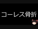 【ゆっくり朗読】ゆっくりさんと不思議な病気 その520