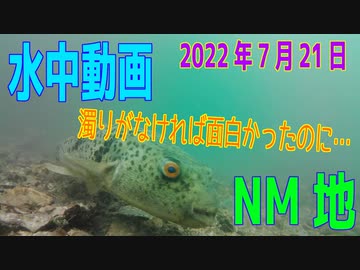水中動画（2022年7月28日）in NM地