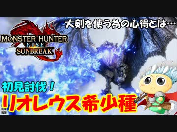 【#サンブレイク】大剣を使う上で大切な事、教えましょう。大剣で「リオレウス希少種」を初見狩猟！【アプデ】