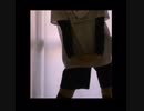【I’m Your Treasure Box *あなたは マリンせんちょうを たからばこからみつけた。】を踊る動画です