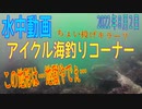 水中動画（2022年8月2日）in アイクル海釣りコーナー