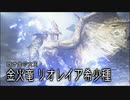 【MHRS】発売日から全モンスターを倒すまで【実況】part23