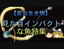 【ゆっくり解説】見た目インパクトな魚特集
