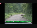 ST088-3　10年前から肝心な所が撮影できないスターステイル【StarsTail Archive】