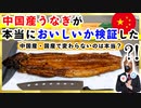 料理動画投稿者が『中国産のウナギ』は本当に美味しいか検証してみた