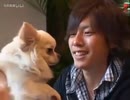 犬とHIROTO(淫夢)