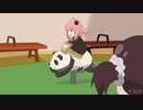 アーニャがパンダに乗るだけの映像【SPY×FAMILY】