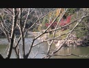 ST088-20　【詳細不明】倉敷市（？）で見つけた池と岩【StarsTail Archive】