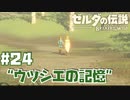 #24 ゼルダの伝説 ブレス オブ ザ ワイルド【ウツシエの記憶】