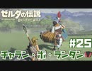 #25 ゼルダの伝説 ブレス オブ ザ ワイルド【ええけつの服】