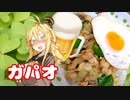 酒クズ弦巻の今日のおつまみ #50　第三回スパイス祭！ガパガパのガパオライス