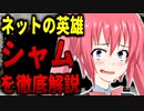 やばいYouTubeｒを紹介「syamu_game」【入門編】