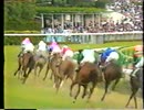 【競馬】1990年 第39回ラジオたんぱ賞