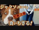 悪魔ぶって検索してはいけない言葉の貯金実況part111【メキシコ　ピットブルなど】
