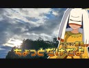 2022年8月14日　農作業日誌P356　人類初飛行のホワイトヘッドナンバー21とちょっとだけ農作業　MYCOEIROINK