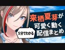 【にじさんじ】来栖夏芽さんがさらに可愛くなりました【切り抜き】