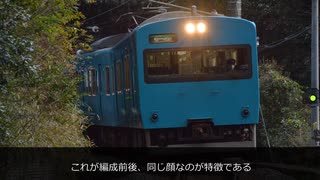 迷列車車内観察シリーズ Vol.10 「車内で振り返る　113系ヒネHG201,202編成」